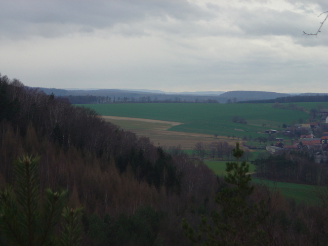DSC07906